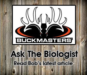 Ask The Biologist