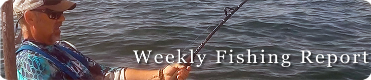Weekly Fishing graphic