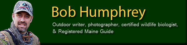 Bob Humphrey.com