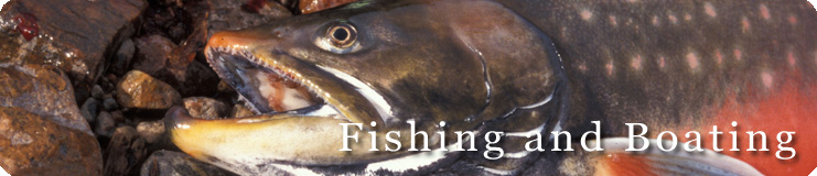 Fishing and Boating