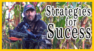 Strategies for Success banner